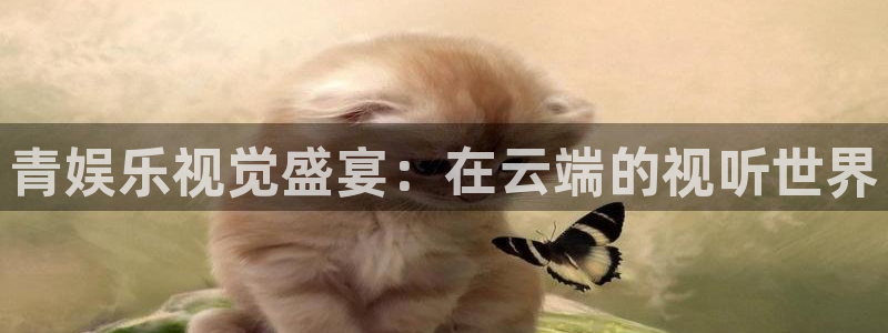 天辰娱乐下载入口