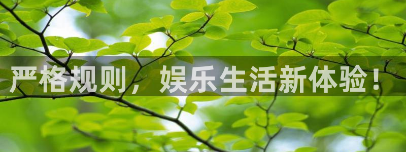 天辰娱乐app