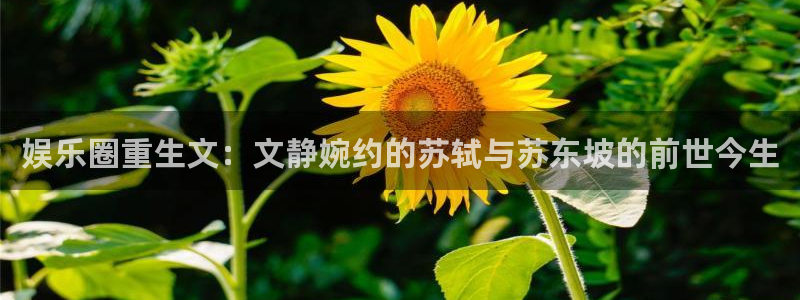 壹号玩家app下载