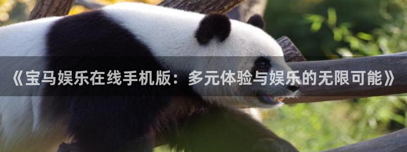 天辰娱乐平台官网入口下载