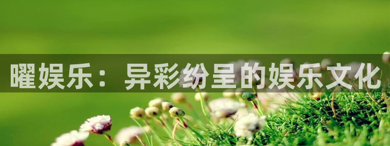 天辰娱乐平台官方入口