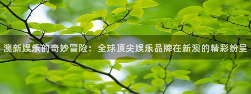 天辰娱乐官网地址