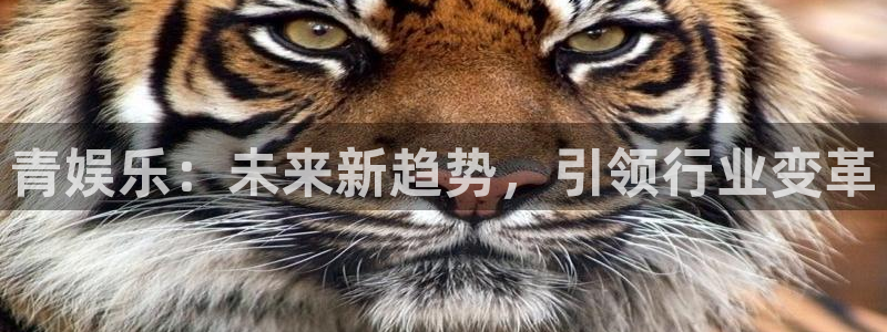 天辰娱乐官网地址