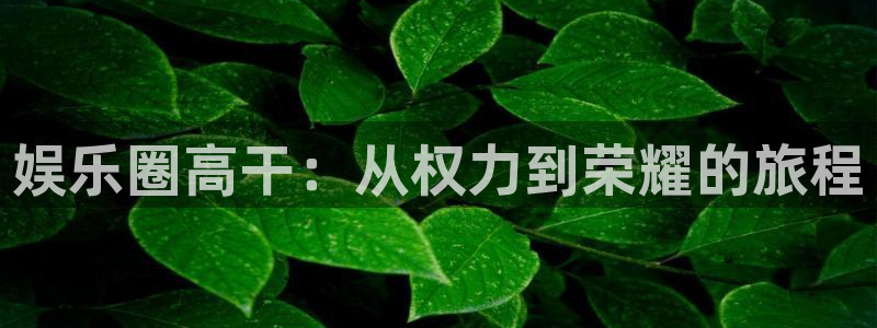 天辰娱乐app下载