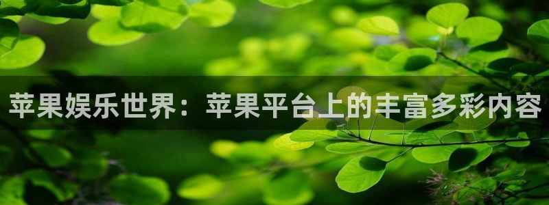 壹号电子娱乐app下载最新版本