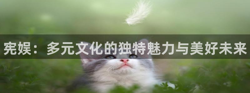 天辰娱乐是啥