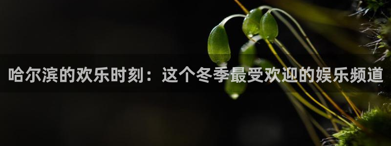 天辰娱乐,com
