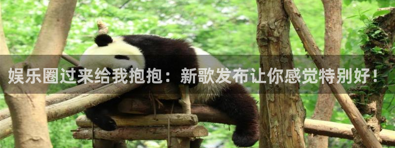 天辰娱乐平台最新版本下载：娱乐圈过来给我抱抱：新歌发布让你感觉特别好！