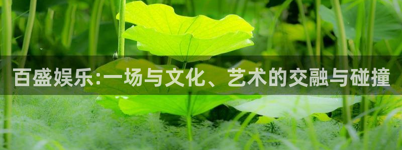 天辰娱乐.com：百盛娱乐:一场与文化、艺术的交融与碰撞