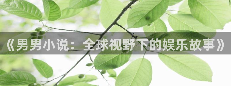 天辰娱乐ccmpc：《男男小说：全球视野下的娱乐故事》