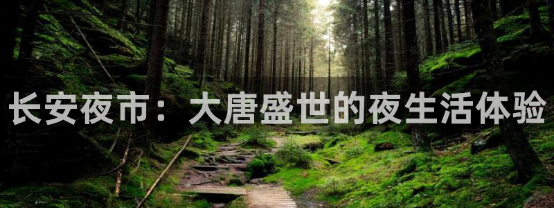 壹号电子娱乐app下载：长安夜市：大唐盛世的夜生活体验