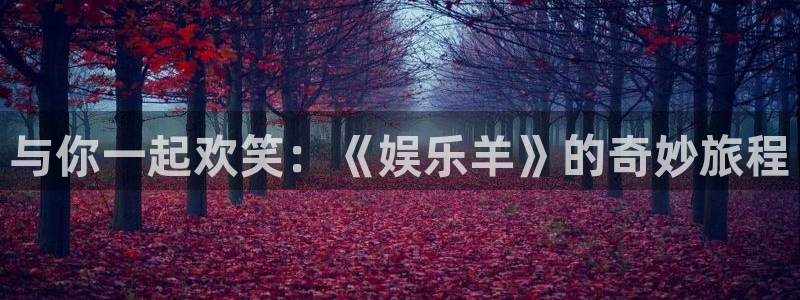 南宫天辰娱乐官网版：与你一起欢笑：《娱乐羊》的奇妙旅程