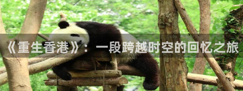 天辰娱乐有梦你就来：《重生香港》：一段跨越时空的回忆之旅