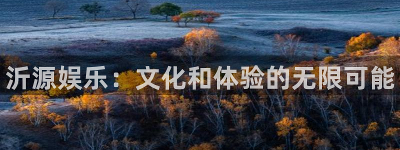 天辰娱乐电子游戏：沂源娱乐：文化和体验的无限可能