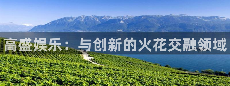 壹号app官方登录入口下载：高盛娱乐：与创新的火花交融领域