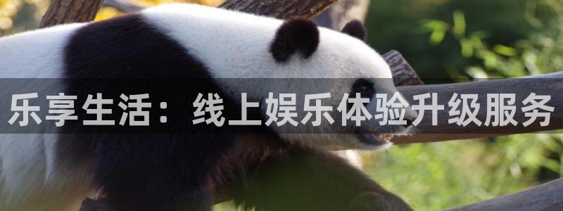 壹号大舞台入口：乐享生活：线上娱乐体验升级服务
