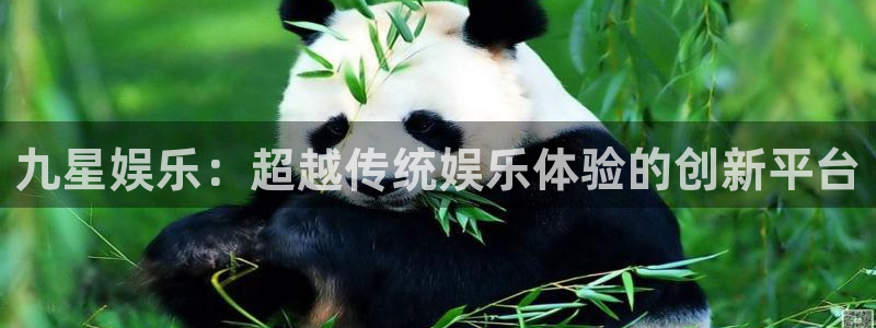 天辰娱乐链接：九星娱乐：超越传统娱乐体验的创新平台