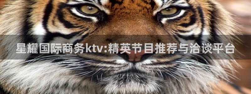 天辰娱乐是真的吗：星耀国际商务ktv:精英节目推荐与洽谈平台